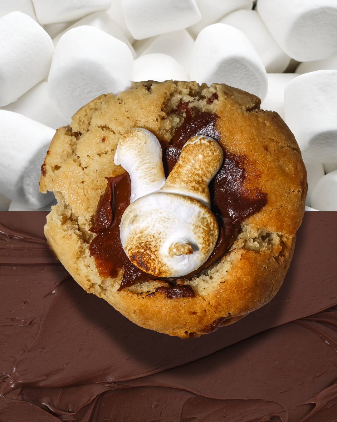 4 pack Mini Easter Cookies